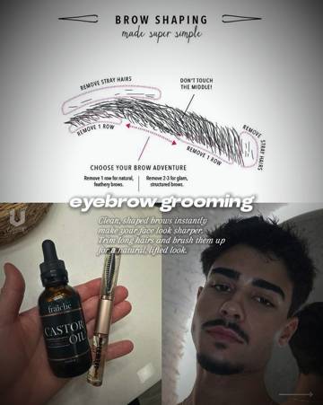 Willow Bark guide