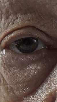 Ad 98701837