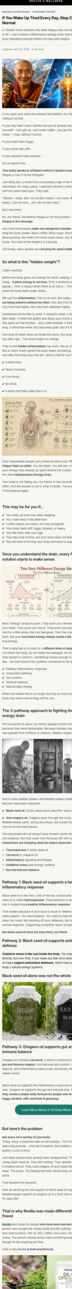 Full page https://resilia.shop/pages/hi-inflamation-monk-voice