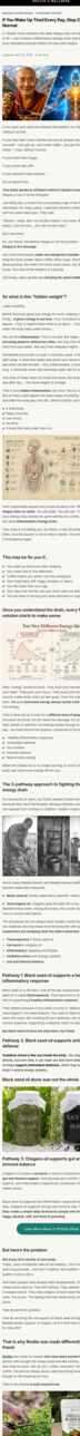 Full page https://resilia.shop/pages/energy-inflammation-monk-ebso-comp-google